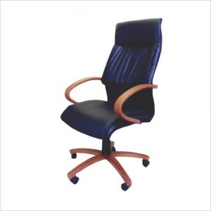EX007 - Alisha Executive Luvit Executive Chair